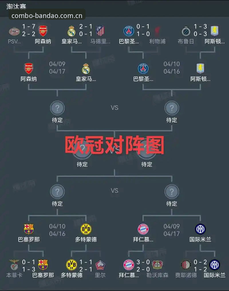 埃梅里欧联杯五冠王纪录解析：半岛体育综合用户观赛数据对比教程